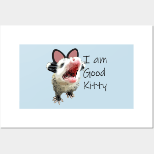 Good Kitty Opossum Posters and Art